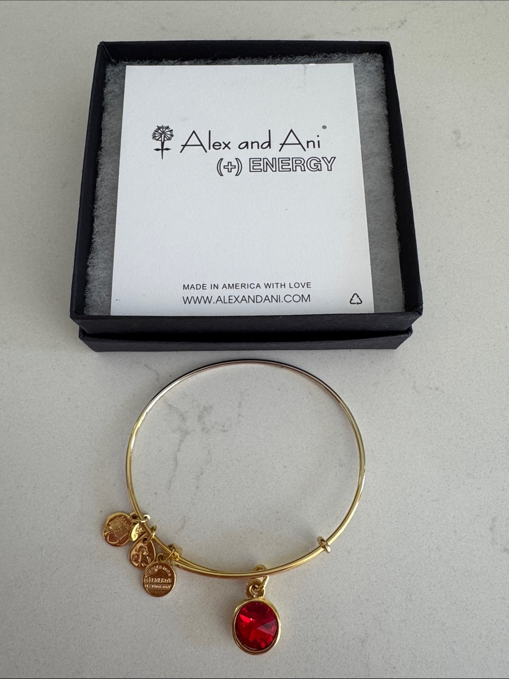 Alex and Ani Gold Bangle with Red Crystal Charm